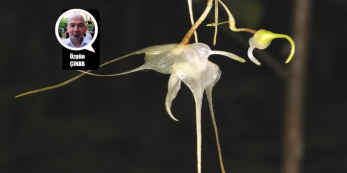 Hiçbir Şey Bilmiyoruz