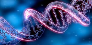 ABD’de 275 milyon yeni genetik varyant keşfedildi: Sağlık alanında potansiyel yenilikler