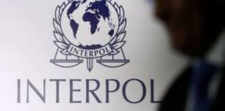 Interpol: Ülkeler Mafyaya Karşı Kaybediyor