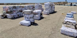 Europol, Türkiye ve Avrupa’ya tonlarca kokain gönderen çeteyi çökertti