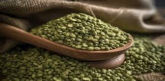 Yeşil mercimekte gümrük vergisi sıfırlandı