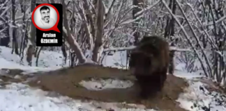 Öğretilmiş Çaresizlik, Öğrencilerin Akademik Başarısını Nasıl Etkiliyor?