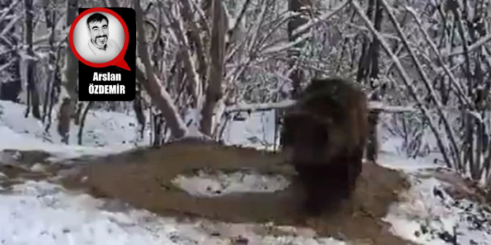 ogretilmis-caresizlik