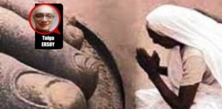 Çöküşe Rıza (5)