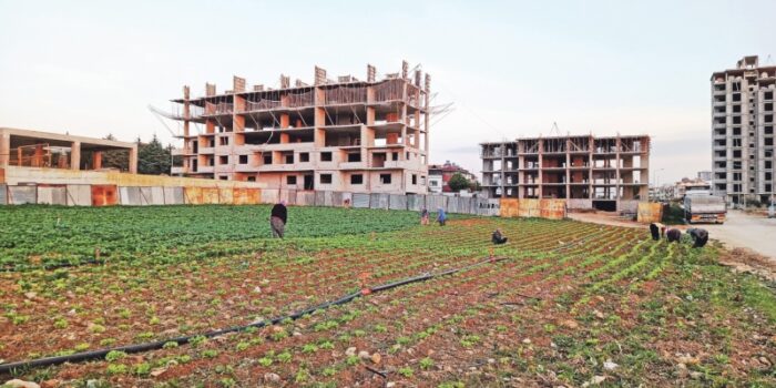 Deprem bölgesinde tarım arazileri tüm itirazlara karşın yapılaşmaya açılıyor