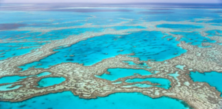 Avustralya çevre felâketi: Büyük Set Resifi ağarıyor