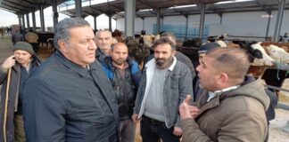 Gürer, hayvan pazarını ziyaret etti, ahırlar boşalıyor durgunluk artıyor