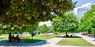 Mahkeme kararı verdi: ‘Gezi Parkı İBB’ye ait’