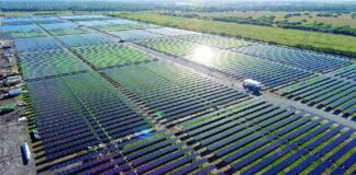 Doğaya ve Tarıma İhanet: 519 futbol sahası büyüklüğündeki tarım alanı yok ediliyor