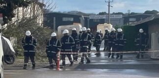 Hindistanlı işçi ithalatı: Ucuz emek cenneti mi, emek sömürüsü mü?