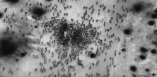 Gazze’de yardım konvoyunda izdiham ve saldırı: En az 112 ölü