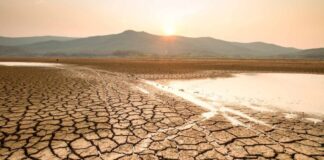 BM: Kuraklık, Sessizce İlerleyen Küresel Felakete Dönüştü – Türkiye de Krizin Eşiğinde