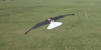 Çin, dünyanın kuşa en çok benzeyen ornitopterini üretti