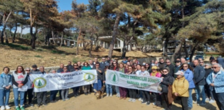 Saros Körfezi’nde doğa katliamına karşı çığlık: Yasal zemini olmayan betonarme villalara tepki!