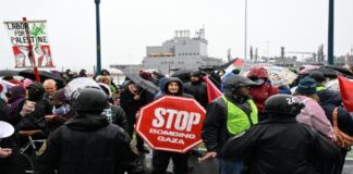 Türkiye ve Almanya’da İsrail politikalarına tepkiler ve demokrasi algısı