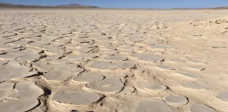 Dünyanın En Kurak Çölü Altında Gizli Bir Biyosfer