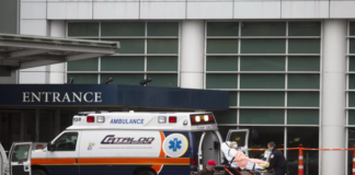 ABD’de ilk kez genetiği değiştirilmiş domuz böbreği nakli yapılan hasta taburcu edildi