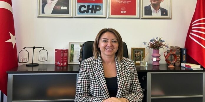 chp-gul-ciftci