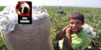 Çocuk İşçiliği: Ucuz İş Gücünün Karanlık Yüzü