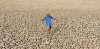 El Niño’nun etkileri azalıyor: 2024 baharında beklenen değişim