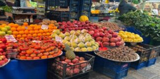 Pestisit Tehlikesi: Sağlığımızı Tehdit Eden Kimyasal Kalıntılar