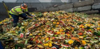 Türkiye’de Her Yıl 18 Milyon Ton Gıda Çöpe Gidiyor