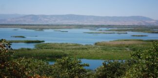 Marmara Gölü’nün geleceği: Ekolojik bir mirasın korunması