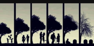 Yaşlanma ve ölüm: Bilim insanlarının yorumları ve ölümsüzlüğün sınırları