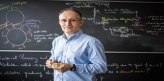 Almanya’nın Prestijli Bilim Ödülü Türk fizikçiye Veriliyor