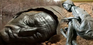 Bataklıkların Gizemli Tarihçesi: Binlerce Yıllık Cesetlerin Korunması