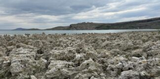 Van Gölü’nün Sahilleri ve Mikrobiyalitlerin Büyüleyici Dünyası