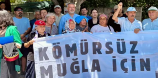 Akbelen Ormanı için Adalet Arayışı: 103 Dernekten Çağrı