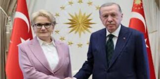 Akşener, Erdoğan’dan Ne İstedi?