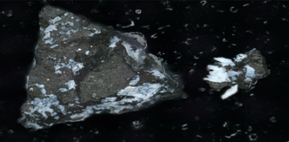 NASA’nın OSIRIS-REx Görevinde Çığır Açan Keşif: Bennu Asteroitindeki Yaşamın İzleri