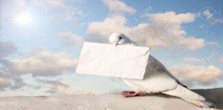 Güvercinlerin Savaş ve İletişimdeki Tarihi Rolü: Antik Çağlardan Modern Zamanlara