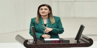 CHP İzmir Milletvekili Sevda Erdan Kılıç, ‘Kadın Cinayetlerinde Öldürülen Çocuklar’ Raporunu Açıkladı