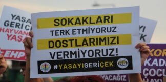 Hayvan Hakları Aktivistlerinden Protesto Eylemi: ‘AKP Elini Hayvanlardan Çek’