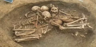 Fransa’daki 4.500 Yıllık Bir Toplu Mezarın Sırrı Ortaya Çıkıyor