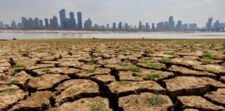 Ekolojik Kaynakların Tükenmesi ve Yeni Teknolojilerin Umut Verici Rolü