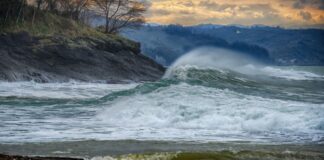 Karadeniz’in Sürekli Isınması: Bir Ekosistemin Çığlığı