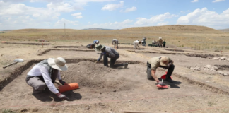 Kayalıpınar’da Şavuşka Tapınağı Bulunmuş Olabilir mi?