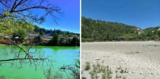 Kolak Gölü Kurudu: Balıklar Nakledildi