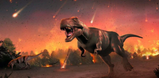 66 Milyon Yıllık Sır Çözüldü: Dinozorların Yok Oluşu ve Jüpiter’in Rolü