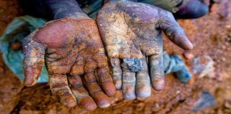 Elmasların Karanlık Parıltısı: Tek Taşın Altındaki Kanlı Gerçek