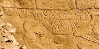 13.000 Yıl Önceki Kuyruklu Yıldız Çarpması: Dünya’nın En Eski Güneş Takvimi ve Göbekli Tepe