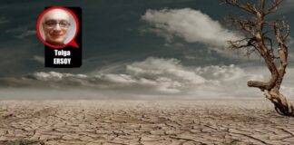 Sağlıkta Çöküşün Öteki Öyküleri (3)