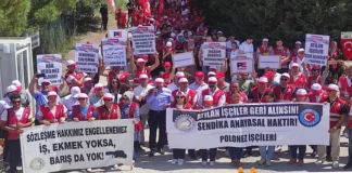 Sendikal Faaliyetten İşten Çıkarmaya Ceza ve Suç Duyurusu