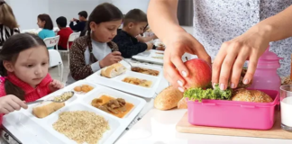 Türkiye’de Okullarda Ücretsiz Yemek Programının Önemi ve Ekonomik Etkileri