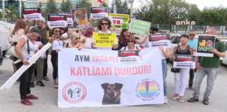 Yaşam Hakkı Savunucuları Anayasa Mahkemesi Önünde