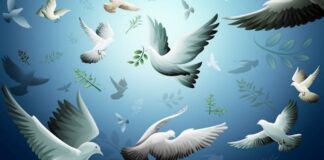 1 Eylül Dünya Barış Günü: Sessizliğin Yankısı